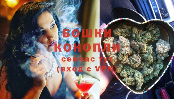 тгк Шали