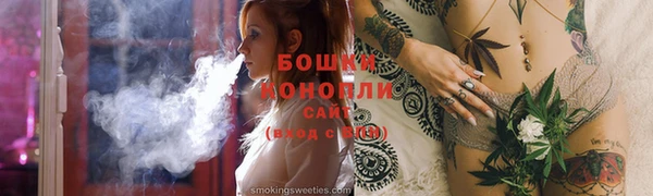 тгк Шали