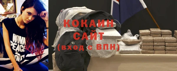 тгк Шали
