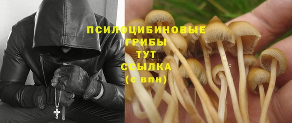 соль курить ск Шадринск