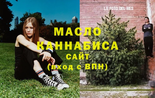 хмурый Горняк