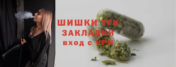 тгк Шали