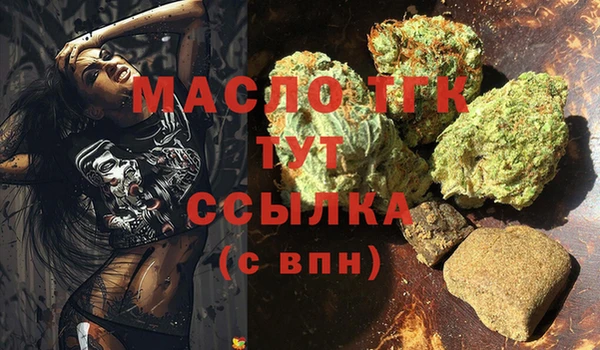 тгк Шали