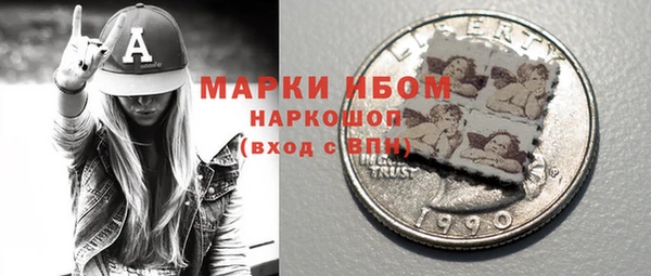 тгк Шали