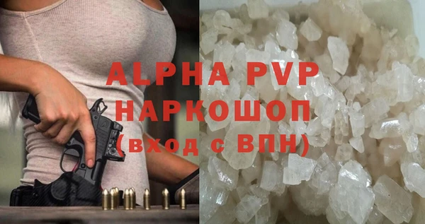 тгк Шали