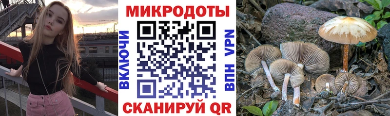 Галлюциногенные грибы ЛСД  блэк спрут ССЫЛКА  Вышний Волочёк 